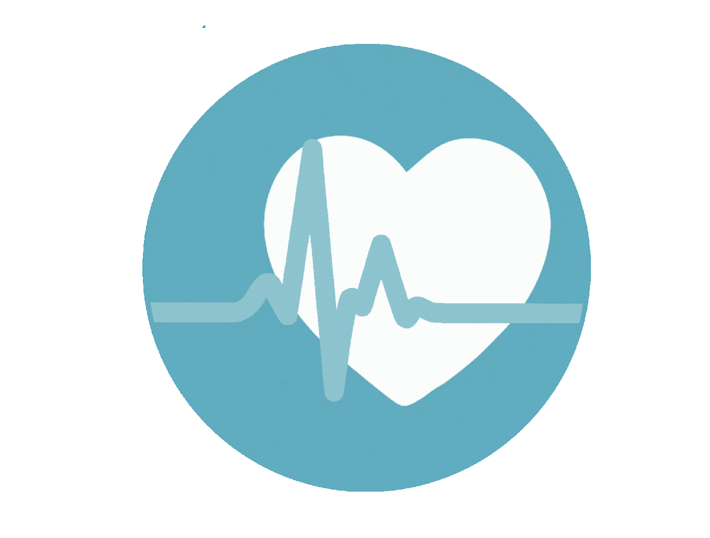 Cardiovascular system